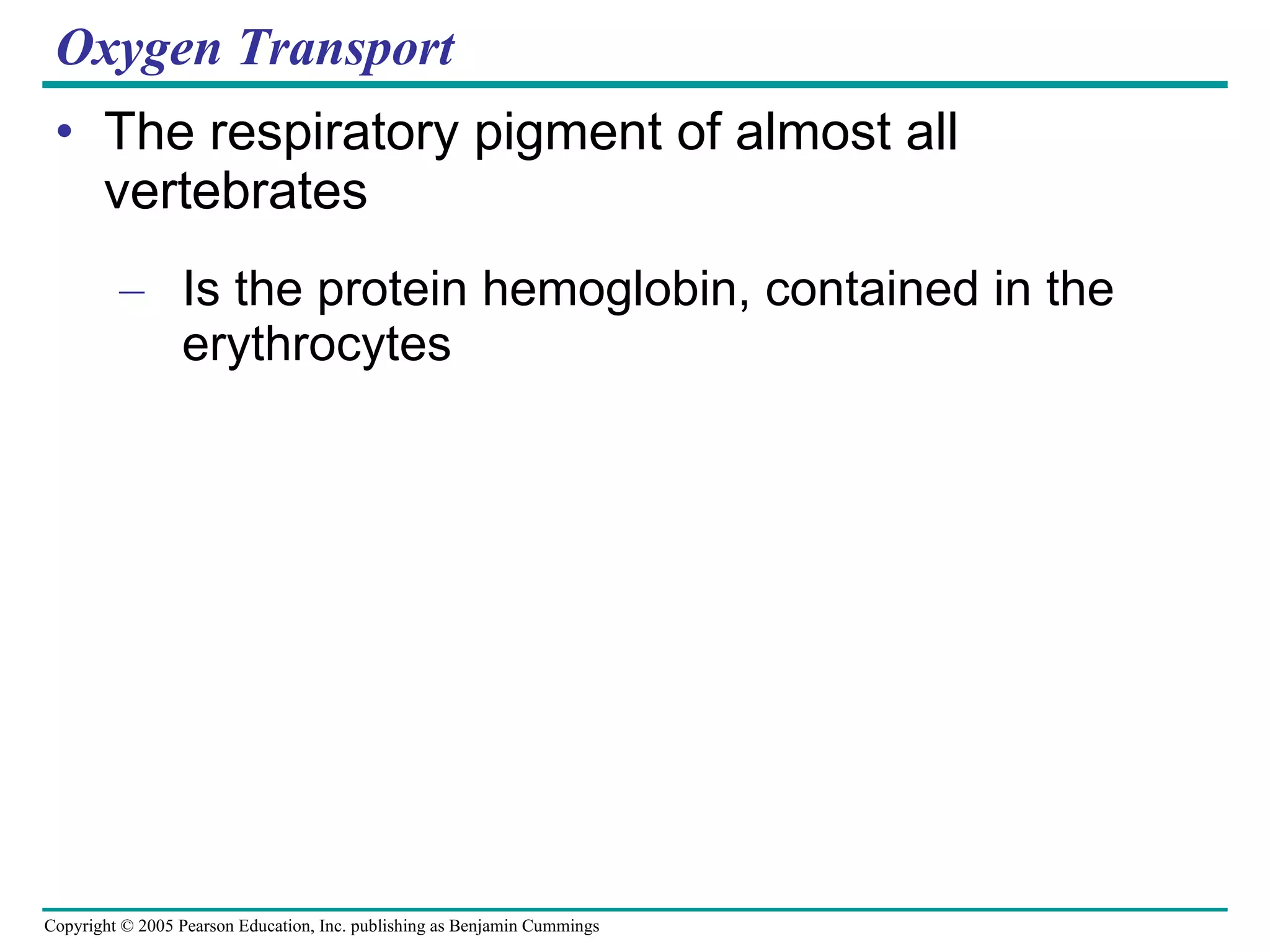 Oxygen Transport The respiratory pigment of almost all vertebrates Is the protein hemoglobin, contained in the erythrocytes 