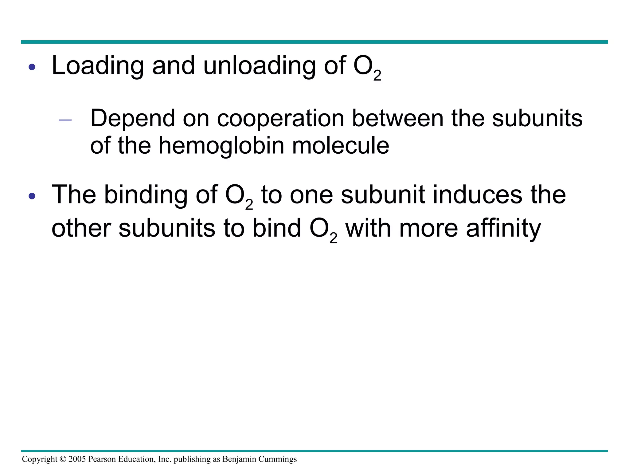 Loading and unloading of O 2 Depend on cooperation between the subunits of the hemoglobin molecule The binding of O 2  to one subunit induces the other subunits to bind O 2  with more affinity 