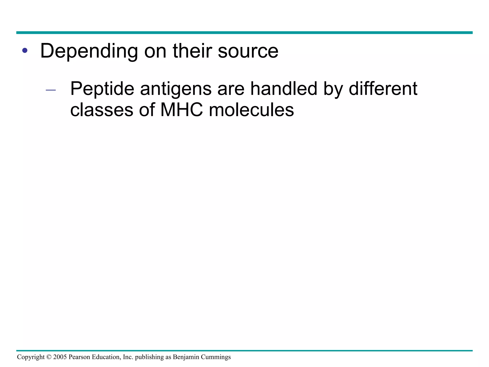 Depending on their source Peptide antigens are handled by different classes of MHC molecules 