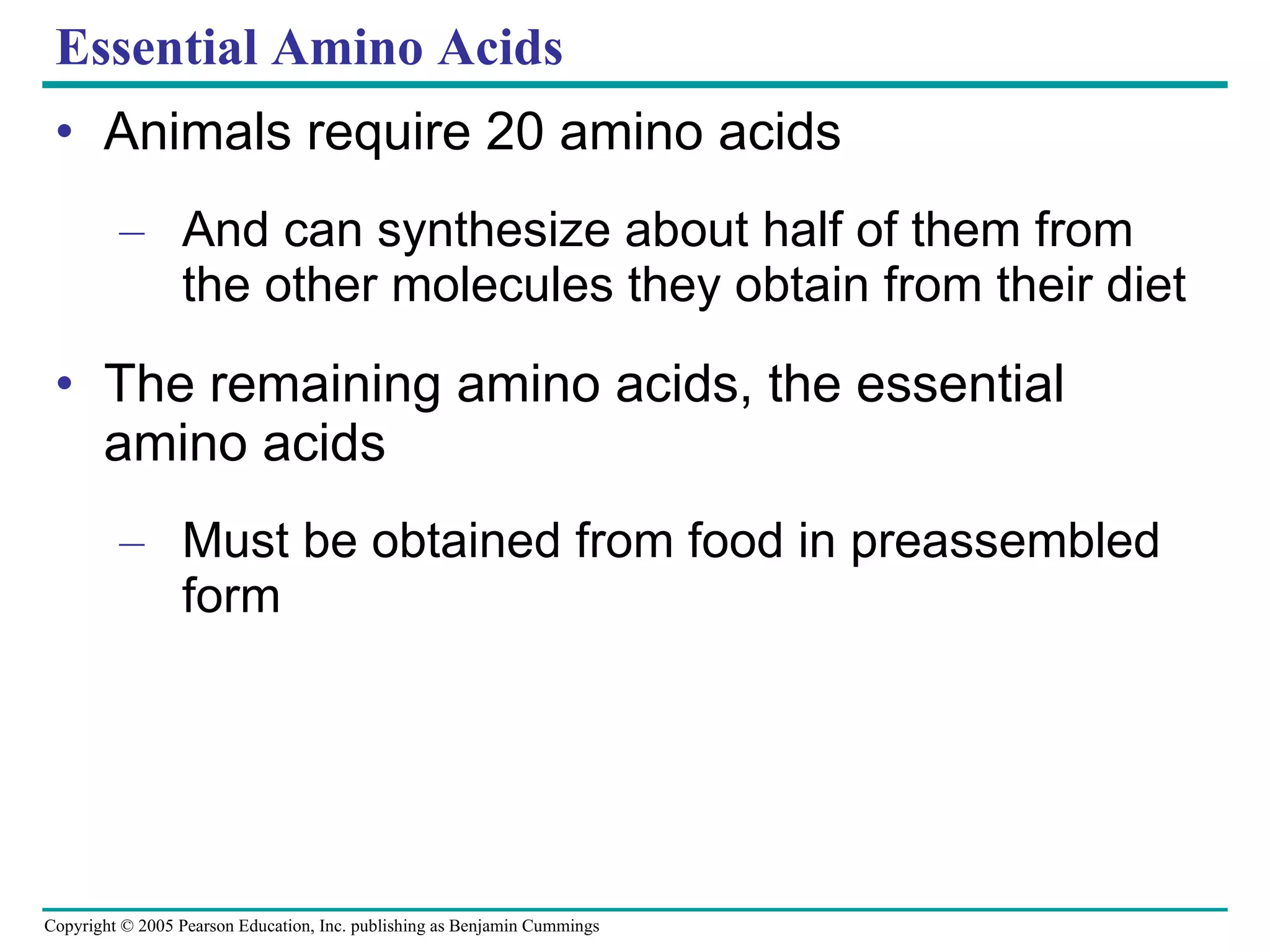 Essential Amino Acids Animals require 20 amino acids And can synthesize about half of them from the other molecules they obtain from their diet The remaining amino acids, the essential amino acids Must be obtained from food in preassembled form 