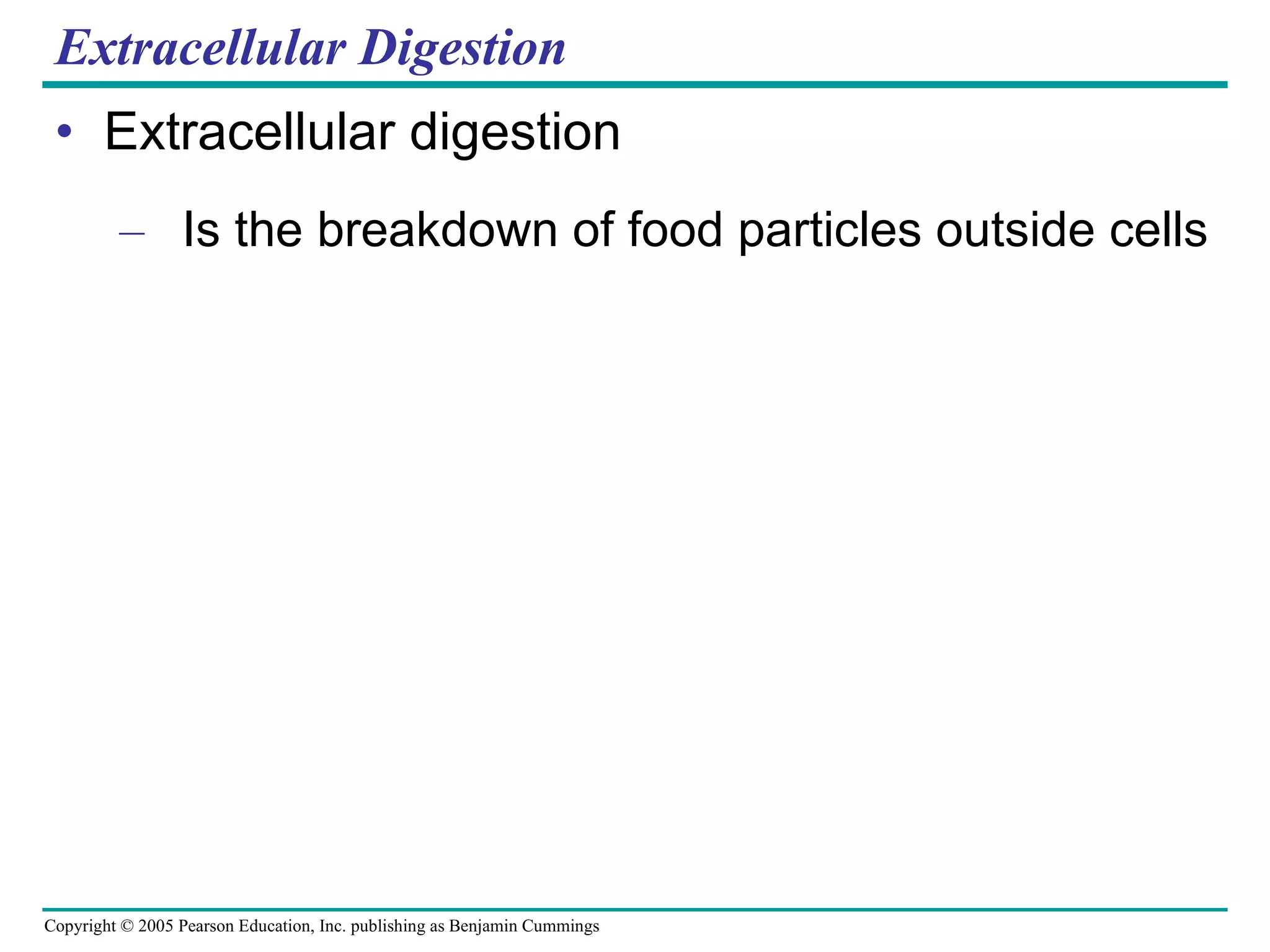 Extracellular Digestion Extracellular digestion Is the breakdown of food particles outside cells 