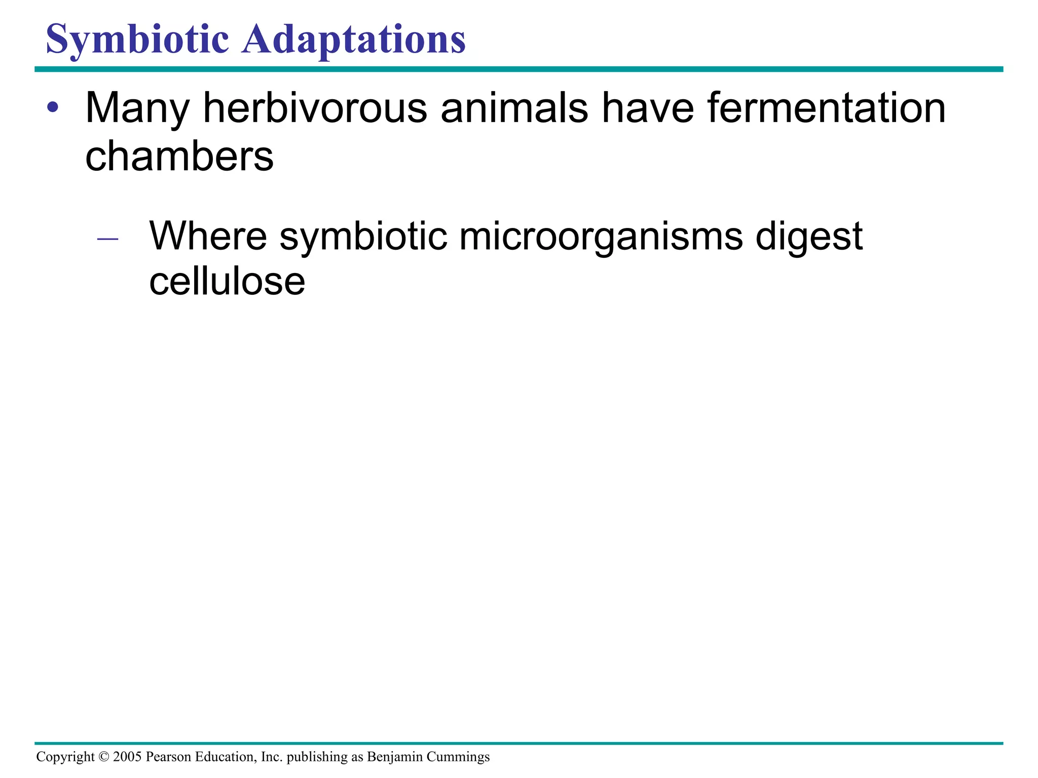 Symbiotic Adaptations Many herbivorous animals have fermentation chambers Where symbiotic microorganisms digest cellulose 