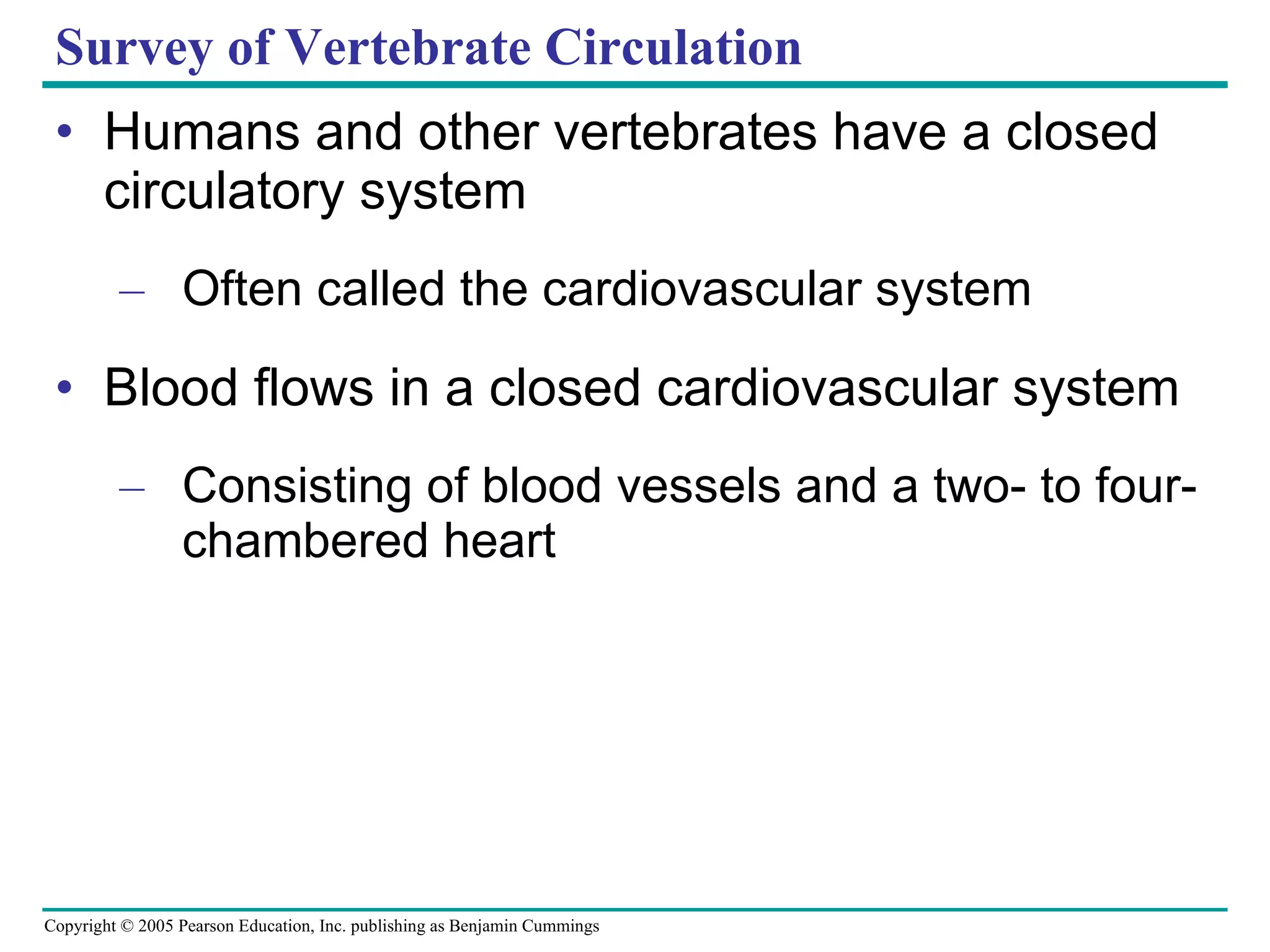 Survey of Vertebrate Circulation Humans and other vertebrates have a closed circulatory system Often called the cardiovascular system Blood flows in a closed cardiovascular system Consisting of blood vessels and a two- to four-chambered heart 