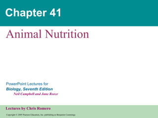 Chapter 41 Animal Nutrition 