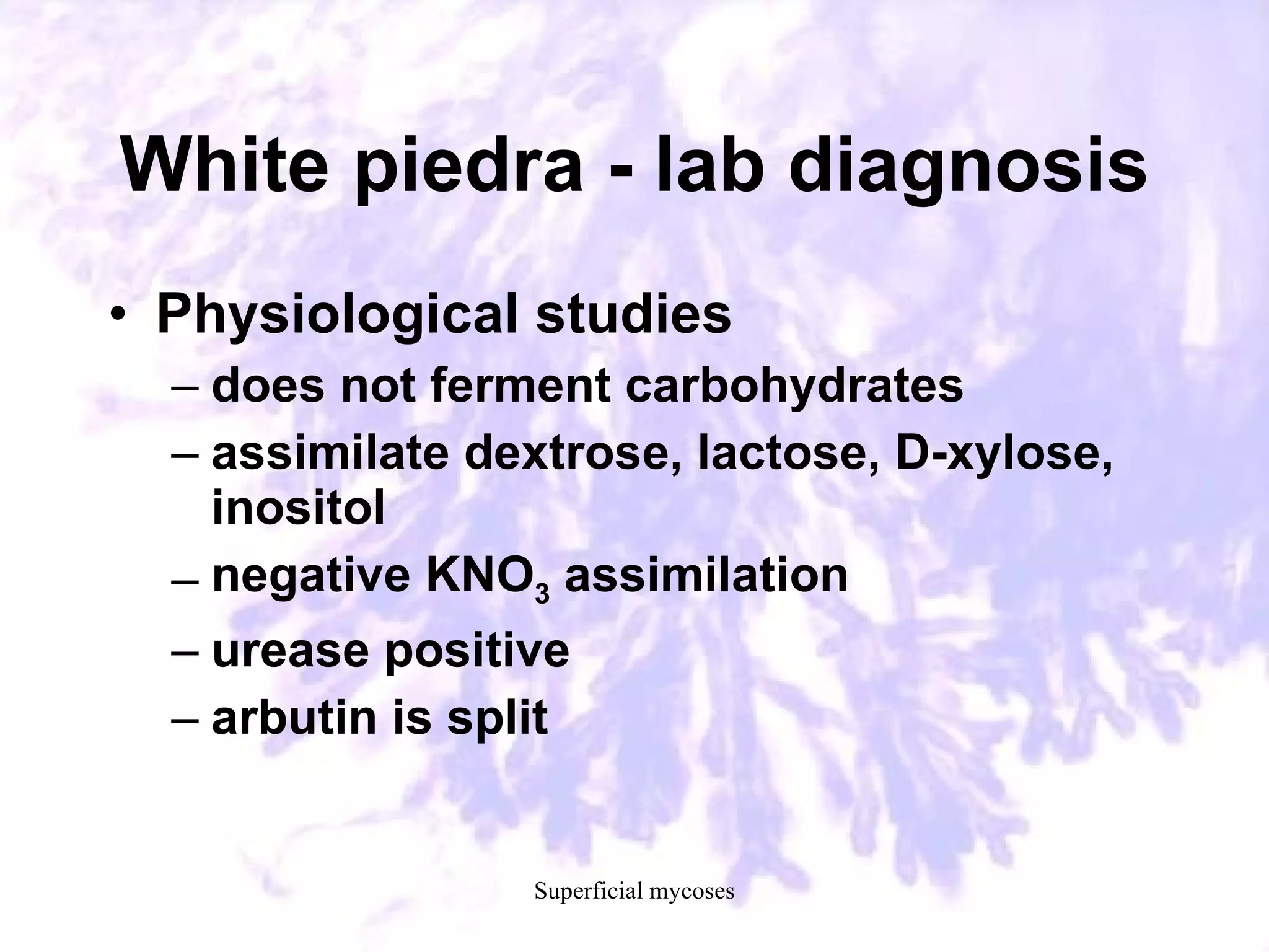 41. laboratory diagnosis of common fungal diseases | PPT