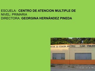 ESCUELA: CENTRO DE ATENCION MULTIPLE DE
NIVEL: PRIMARIA
DIRECTORA: GEORGINA HERNÁNDEZ PINEDA
 