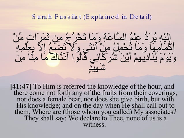 41 Surah Fussilat (Explaned In Detail) | PPT