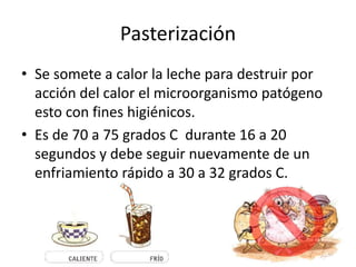 Pasterización
• Se somete a calor la leche para destruir por
acción del calor el microorganismo patógeno
esto con fines higiénicos.
• Es de 70 a 75 grados C durante 16 a 20
segundos y debe seguir nuevamente de un
enfriamiento rápido a 30 a 32 grados C.
 