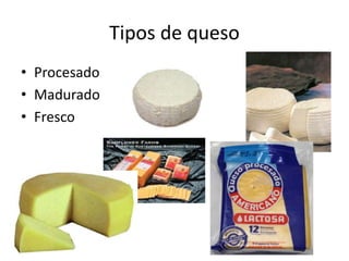 Tipos de queso
• Procesado
• Madurado
• Fresco
 