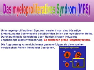 Unter myeloproliferativem Syndrom versteht man eine bösartige
Erkrankung der überwiegend blutbildenden Zellen der myeloischen Reihe.
Durch punktuelle Gendefekte über Nukleinkinasen induzierte
ungehemmte Blastenvermehrung. Es entstehen große Megakaryozyten.
Die Abgrenzung kann nicht immer genau erfolgen, da die einzelnen
myeloischen Reihen ineinander übergehen.
vs..
 