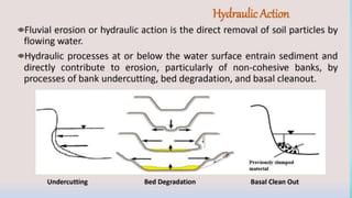 Riverine Disaster Riverbank Management River Morphology Coping ...
