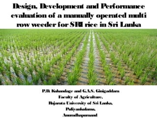 Design, Development and Performance 
evaluation of a manually operated multi 
row weeder for SRI rice in Sri Lanka 
P.D. Kahandage and G.A.S. Ginigaddara 
Faculty of Agriculture, 
Rajarata University of Sri Lanka, 
Puliyankulama, 
Anuradhapuraand 
 