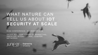 WHAT NATURE CAN
TELL US ABOUT IOT
SECURITY AT SCALE
R I S Q C O N F E R E N C E – N O V E M B E R 2 0 1 8
G E O F F S U L L I V A N – H E A D O F M A R K E T I N G ,
A M E R I C A S I N T E R N A T I O N A L , J U N I P E R
N E T W O R K S
 