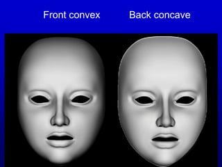Front convex Back concave
 