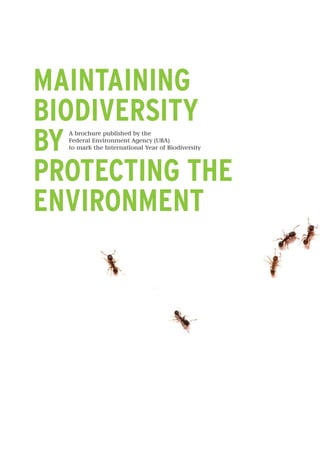 MAINTAINING
BIODIVERSITY
BY
PROTECTING THE
ENVIRONMENT
A brochure published by the
Federal Environment Agency (UBA)
to mark the International Year of Biodiversity
Biodiversitaet_engl-RZ-Druck.indd 1 30.05.11 17:06
 