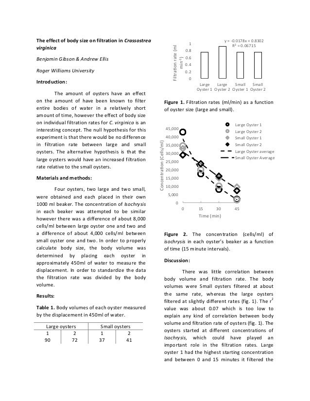 Oyster filtration lab