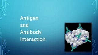 Antigen
and
Antibody
Interaction
 