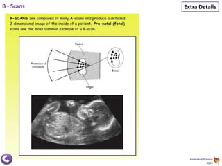 Animated Science
2016
Extra DetailsB - Scans
 