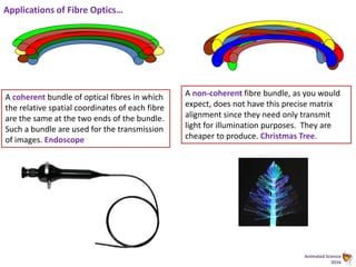 Animated Science
2016
A coherent bundle of optical fibres in which
the relative spatial coordinates of each fibre
are the same at the two ends of the bundle.
Such a bundle are used for the transmission
of images. Endoscope
A non-coherent fibre bundle, as you would
expect, does not have this precise matrix
alignment since they need only transmit
light for illumination purposes. They are
cheaper to produce. Christmas Tree.
Applications of Fibre Optics…
 