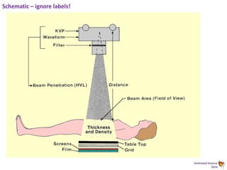 Animated Science
2016
Schematic – ignore labels!
 