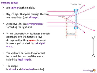 Animated Science
2016
Concave Lenses
• are thinner at the middle.
• Rays of light that pass through the lens
are spread out (they diverge).
• A concave lens is a diverging lens
spreading the light rays
• When parallel rays of light pass through
a concave lens the refracted rays
diverge so that they appear to come
from one point called the principal
focus.
• The distance between the principal
focus and the centre of the lens is
called the focal length.
• The image
is virtual and diminished (smaller)
 