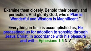 411 Plan is Wonderful and Wisdom is Magnificent 412 Your eyes will see ...
