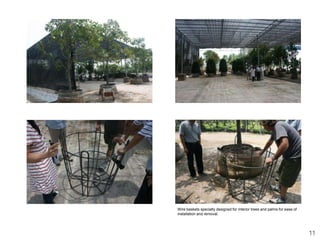 Wire baskets specially designed for interior trees and palms for ease of
installation and removal.




                                                                           11
 