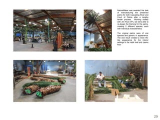 NatureMaker was awarded the task
of manufacturing the preserved
palms for both Cascading River and
Court of Palms after a lengthy
tender process. Working closely
with Jim Paul (VP), we were able to
re-design the theming for the palms,
creating 5 different species, each
with individual characteristics.

The original palms were of one
species and generic in appearance.
The end result created a more life-
like appearance for the interior
settings in the retail mall and casino
floor.




                                         29
 