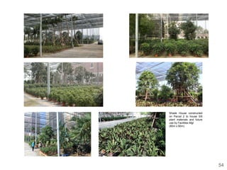 Shade House constructed
on Parcel 2 to house 5/6
plant materials and future
use by Facilities Mgt
(80m x 80m)




                             54
 