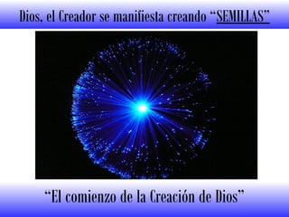 Dios, el Creador se manifiesta creando “SEMILLAS”
“El comienzo de la Creación de Dios”
 
