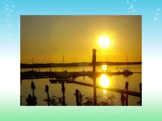 ESPACIOS NATURALES DE HUELVA