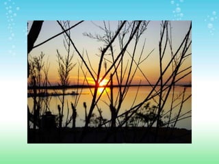 ESPACIOS NATURALES DE HUELVA