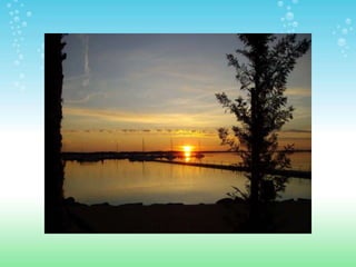 ESPACIOS NATURALES DE HUELVA