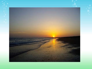 ESPACIOS NATURALES DE HUELVA