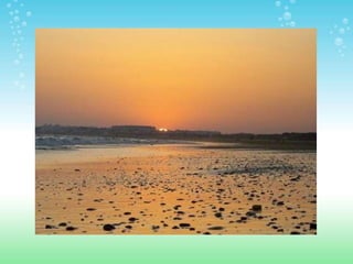 ESPACIOS NATURALES DE HUELVA