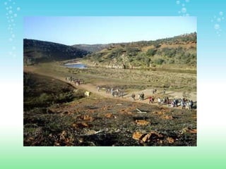 ESPACIOS NATURALES DE HUELVA