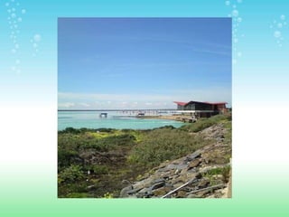 ESPACIOS NATURALES DE HUELVA