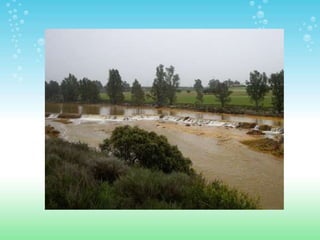 ESPACIOS NATURALES DE HUELVA