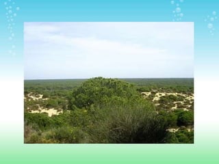 ESPACIOS NATURALES DE HUELVA