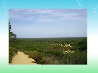 ESPACIOS NATURALES DE HUELVA