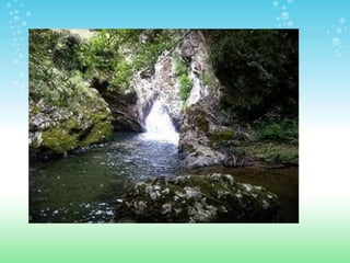 ESPACIOS NATURALES DE HUELVA