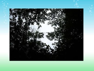 ESPACIOS NATURALES DE HUELVA