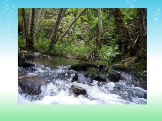 ESPACIOS NATURALES DE HUELVA