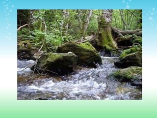 ESPACIOS NATURALES DE HUELVA