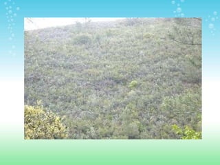 ESPACIOS NATURALES DE HUELVA