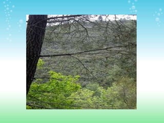 ESPACIOS NATURALES DE HUELVA