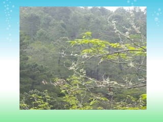 ESPACIOS NATURALES DE HUELVA