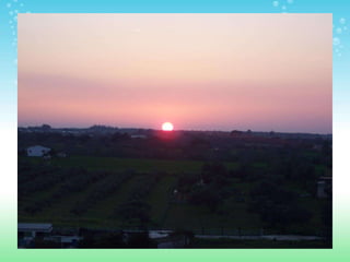 ESPACIOS NATURALES DE HUELVA