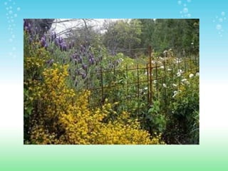 ESPACIOS NATURALES DE HUELVA