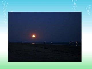 ESPACIOS NATURALES DE HUELVA